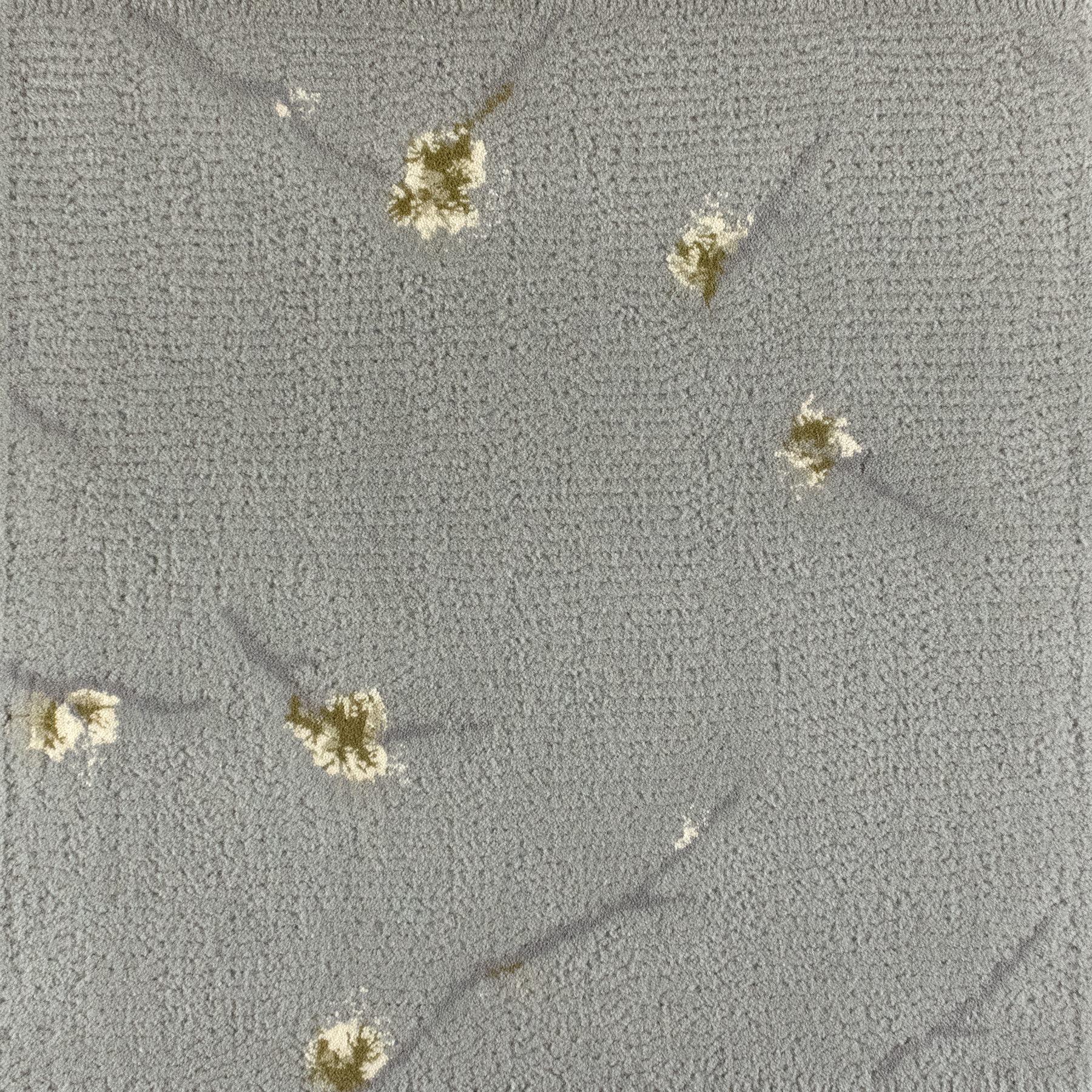 Quince Sample | 18" x 18"